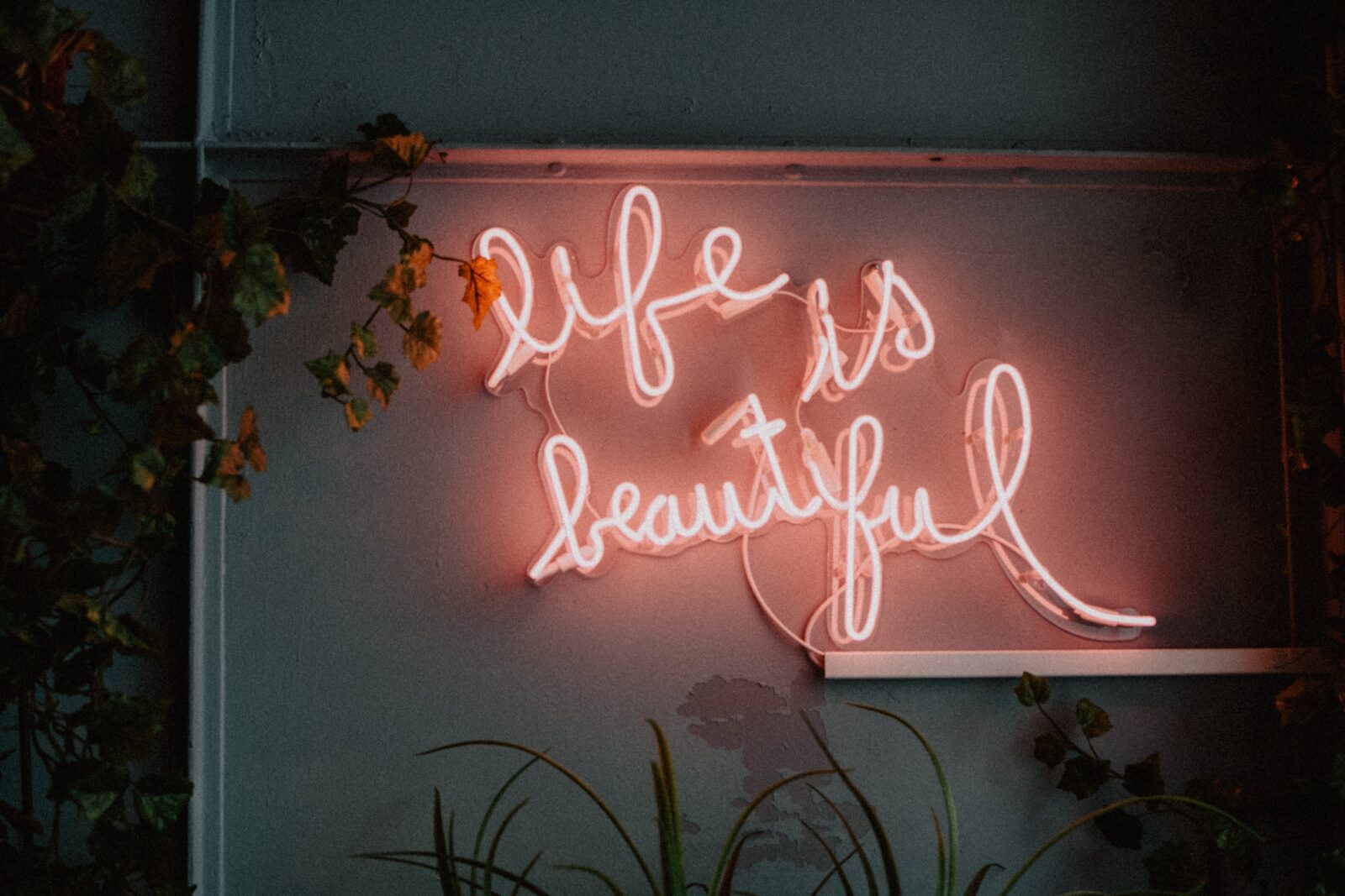 life is beautiful sign with the writing highlighted in bright lights